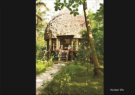 Barefoot at Havelock