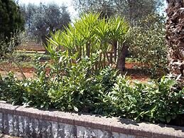 Contrada Macchia B&B