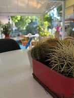 Nizza Creative Hotel