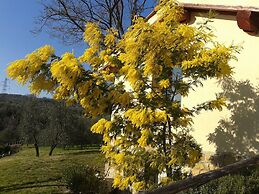 Agriturismo Poggiopiano