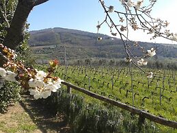 Agriturismo Poggiopiano