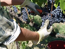 Agriturismo Poggiopiano