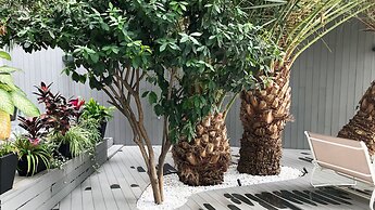 Calypso Boutique Apartments