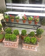 A Cortiña de Canalarrana