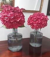 A Cortiña de Canalarrana