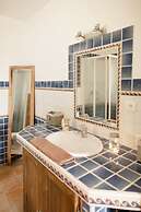 PROVENCE Dodo
