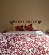 PROVENCE Dodo