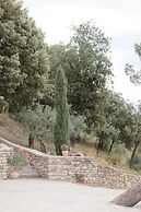 PROVENCE Dodo