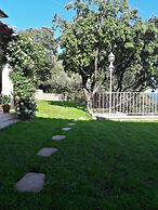 PROVENCE Dodo