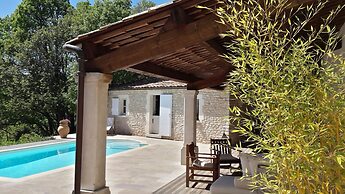 PROVENCE Dodo