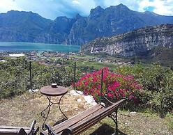 B&B Garden Belvedere