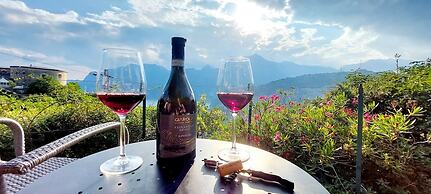 B&B Garden Belvedere