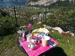 B&B Garden Belvedere