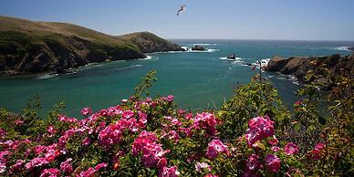 Agate Cove Inn