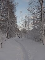 Haus Amici, Saas-Grund