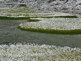 Haus Amici, Saas-Grund