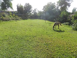 Hotel Sawai Mansing Hill Resort