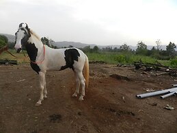 Hotel Sawai Mansing Hill Resort