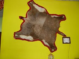 Hotel Sawai Mansing Hill Resort