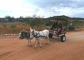 Ann's Lodge & Camping