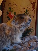 Garni Hotel Concordia