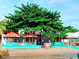 SmallFry's Beach Resort