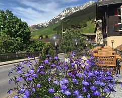 Mountain Lodge Sedrun