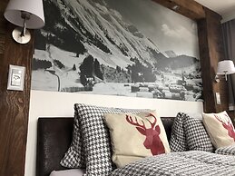 Mountain Lodge Sedrun
