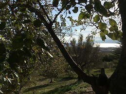 Don Giacchì Country House