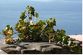 Agriturismo Zibibbodoro