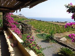 Agriturismo Zibibbodoro