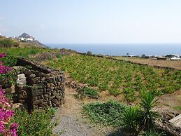 Agriturismo Zibibbodoro