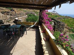 Agriturismo Zibibbodoro