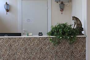 Irkutski Ostrog - hostel