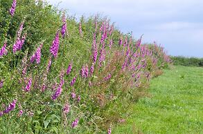 Tregondale Manor Farm
