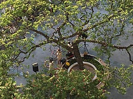 Ilikai by Luana Hawaii Vacation Rentals