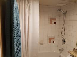 Apartments in Downtown Vancouver