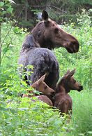 Poplar Creek Guesthouse