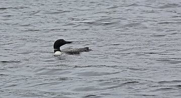 Poplar Creek Guesthouse