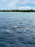 Thoddoo Beach Holiday Inn