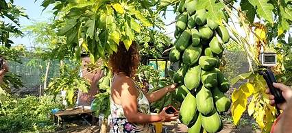 Thoddoo Beach Holiday Inn