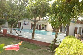 Corbett Paradiso by ILILA