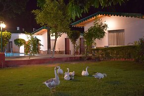 Corbett Paradiso by ILILA