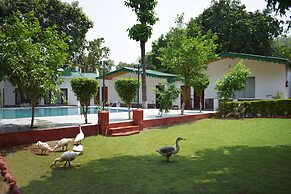 Corbett Paradiso by ILILA