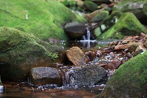 Glenworth Valley Outdoor Adventures