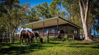 Glenworth Valley Outdoor Adventures