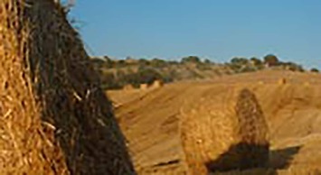 Agriturismo Rossello