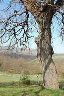 Agriturismo Rossello