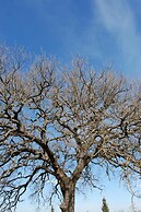 Agriturismo Rossello