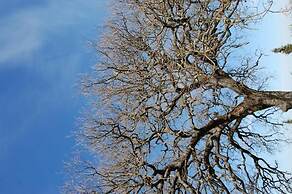 Agriturismo Rossello